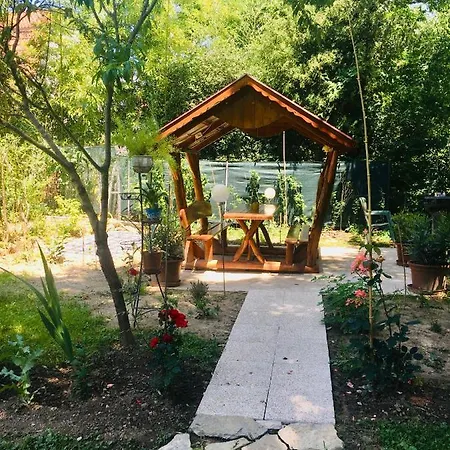 Sunny & * Хевиз