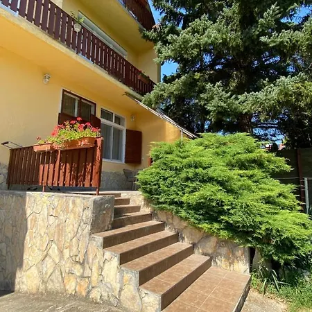 Sunny & * Хевиз