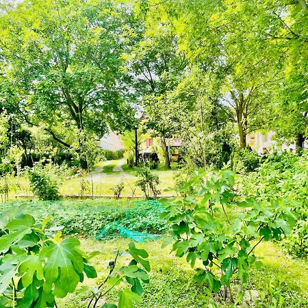 Sunny & Апартаменты *