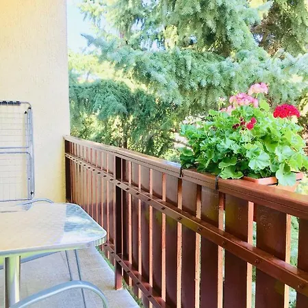 Апартаменты Sunny & Хевиз