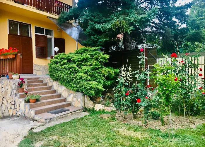 Appartement Sunny & *