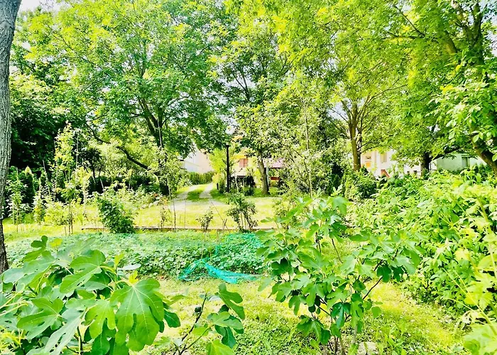 Sunny & Appartement *